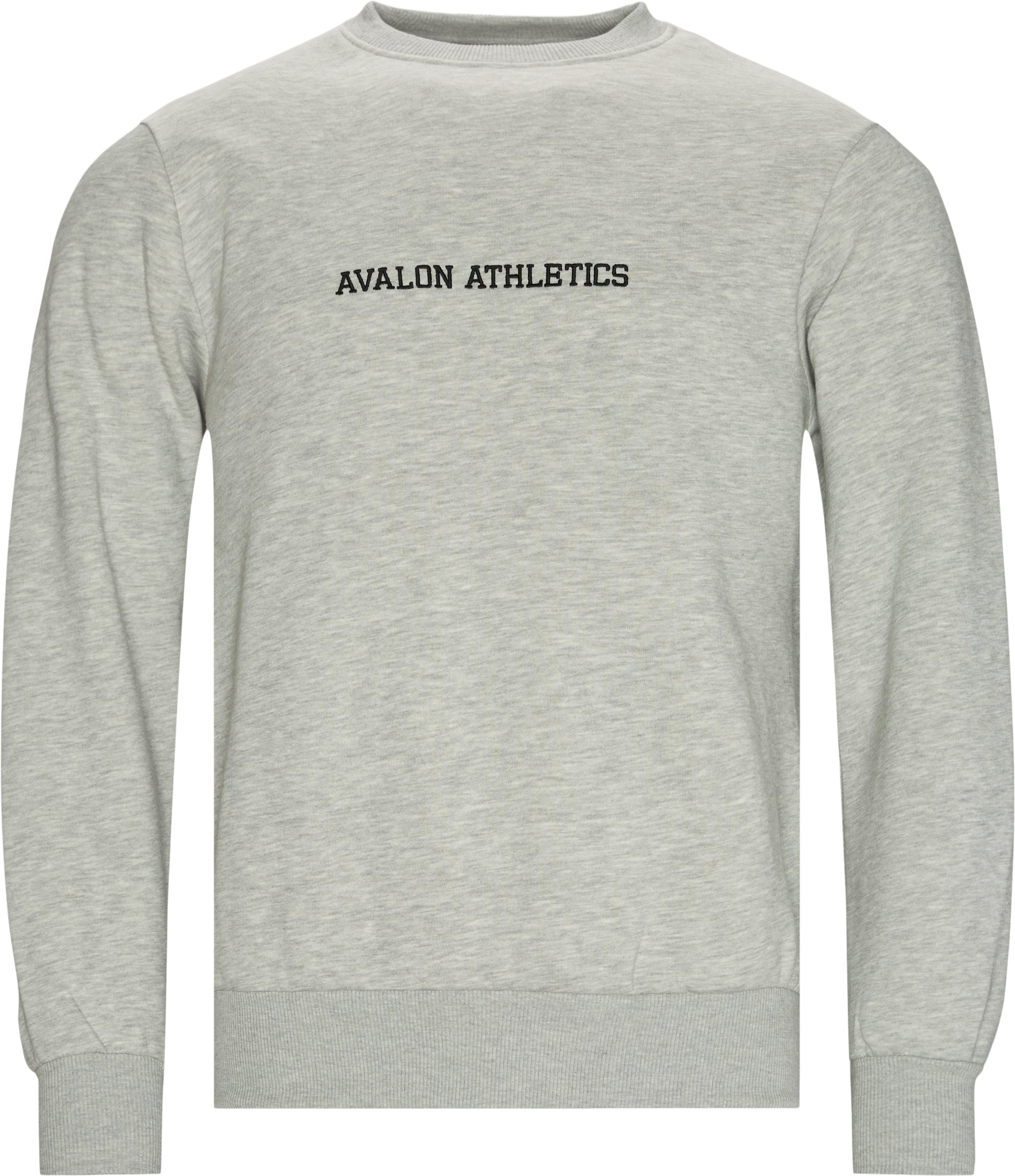 Avalon Athletics Sweatshirts HUDSON Grå